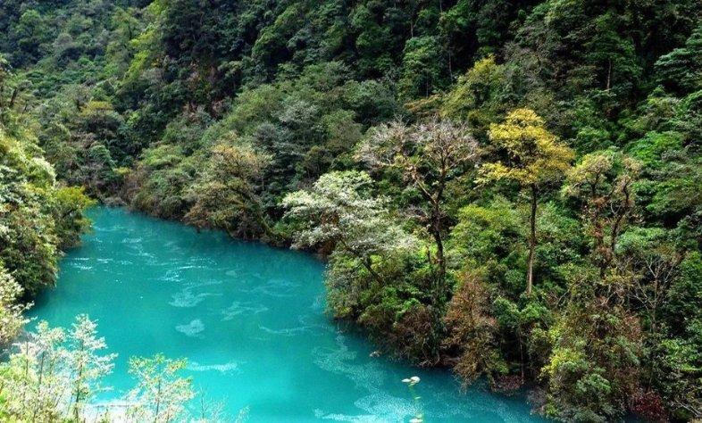 植物大战僵尸8